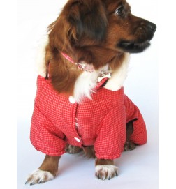 Pattern of tailoring the puppy coat 6006